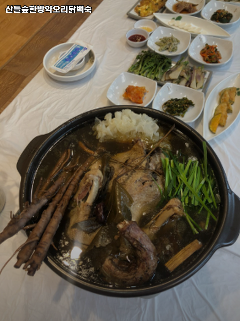 산들숲 이미지