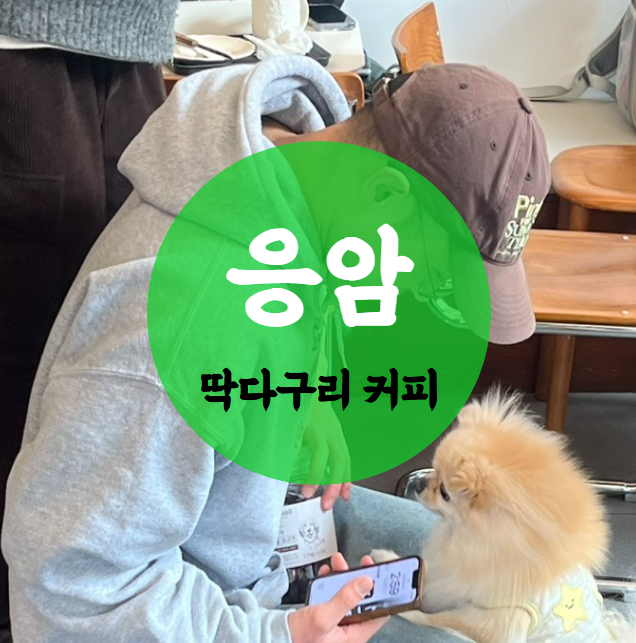 딱다구리커피 이미지