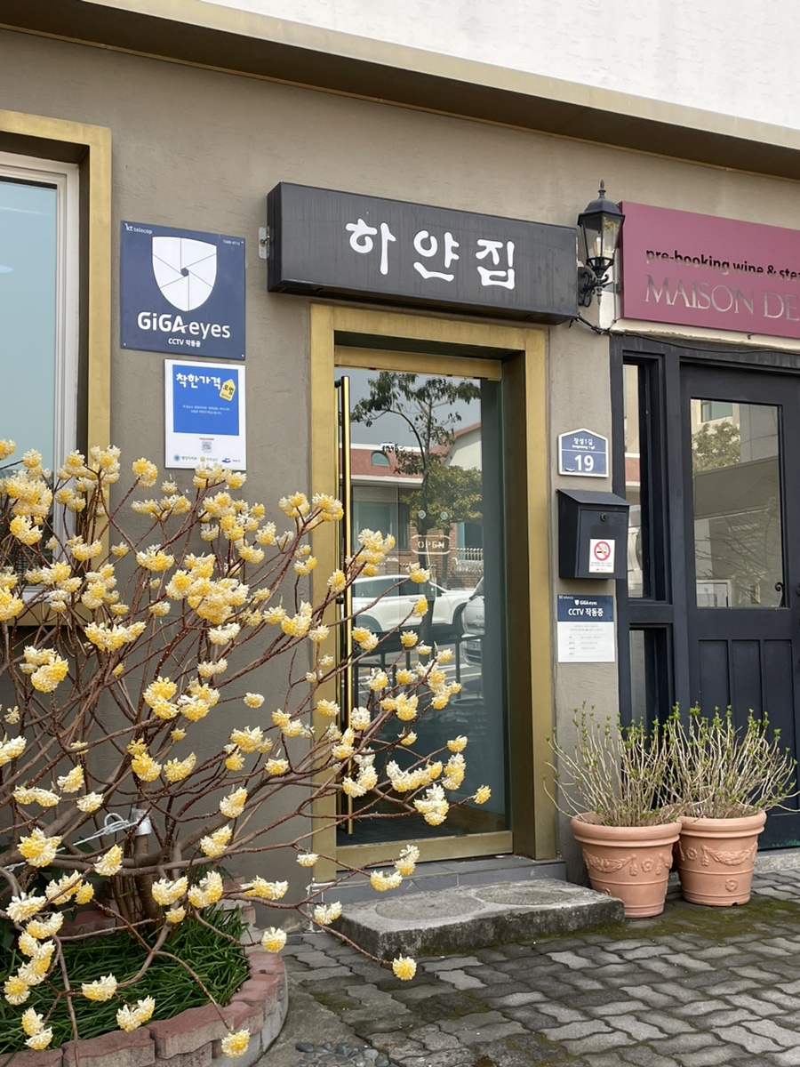 하얀집낙지 이미지