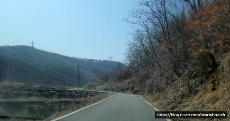 내안의숲길 이미지