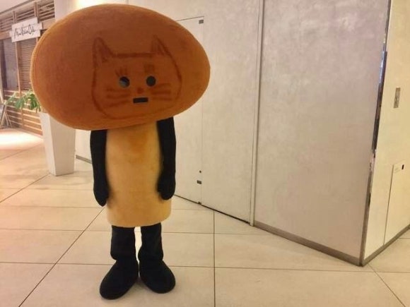 보키 이미지