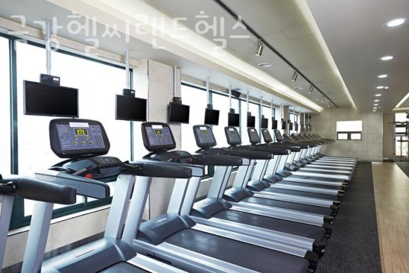 금강랜드 이미지