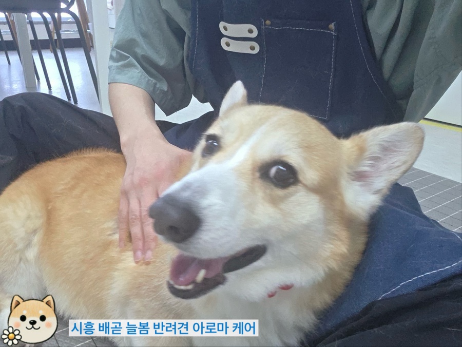 늘봄아로마테라피 이미지