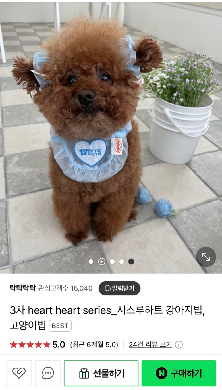 디디바스켓 이미지