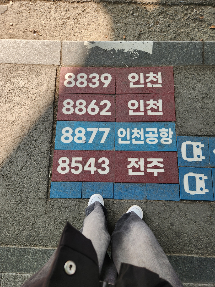 포르르 이미지