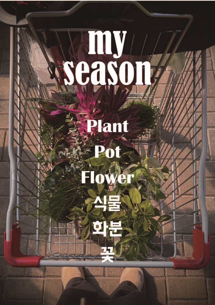 마이하비 이미지