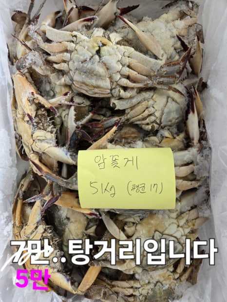 임여사수산 이미지