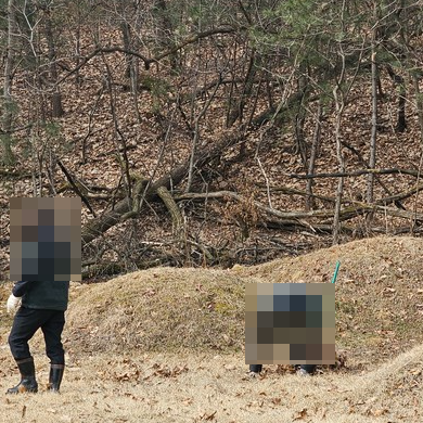다가인력 이미지