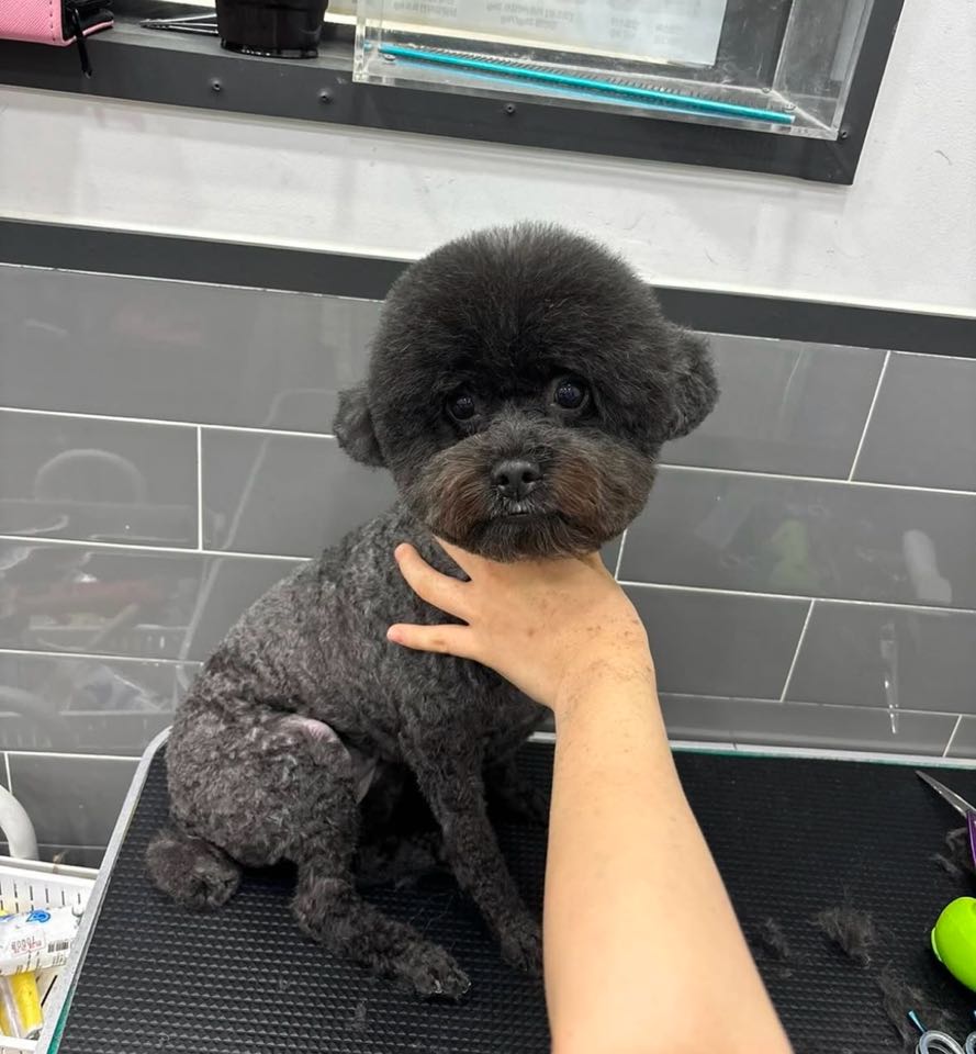 크리스타일 이미지