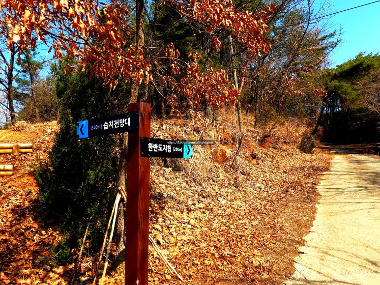 한반도컨설팅 이미지