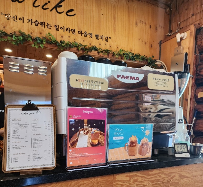 애즈유라이크 이미지