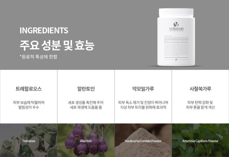 진스토랑 이미지