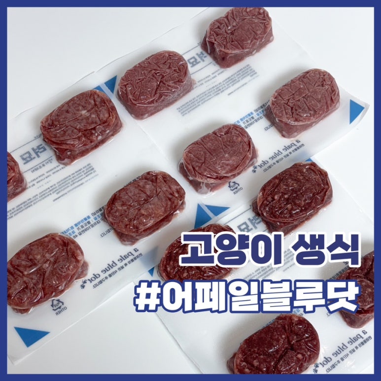 페일블루닷 이미지