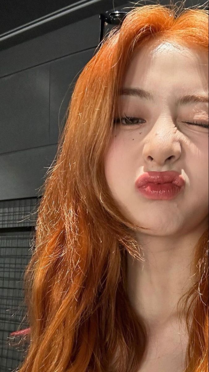 오렌지바 이미지