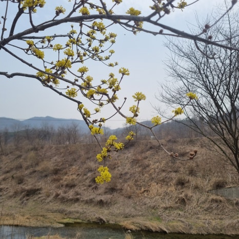 부론한의원 이미지