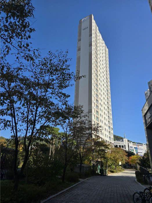 삼현초등학교 이미지
