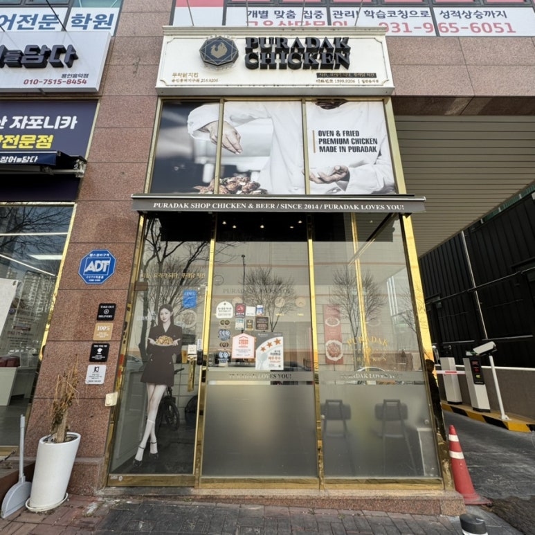 푸라닭용인 이미지