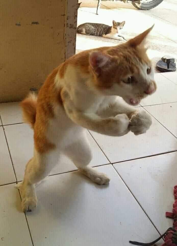 삼월 이미지
