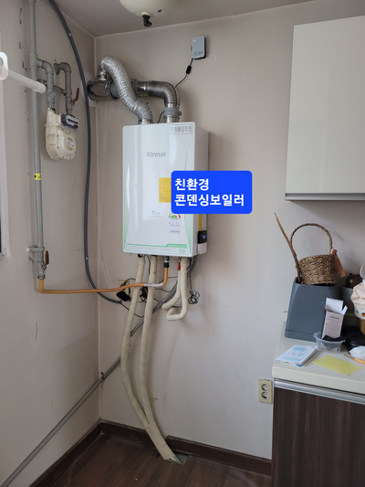 신화환경 이미지