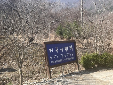 거북이민박 이미지