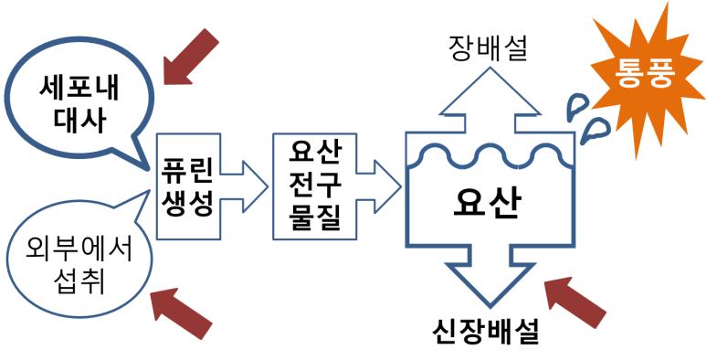 류마경대내과의원 이미지