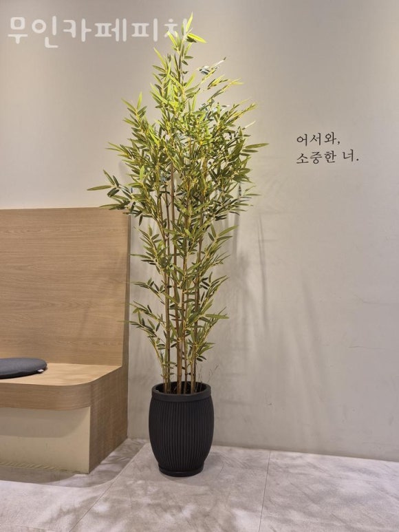 무인카페피치 이미지