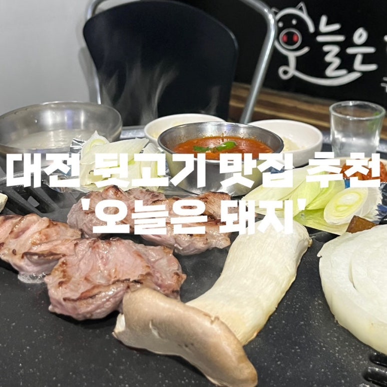 오늘돼지 이미지