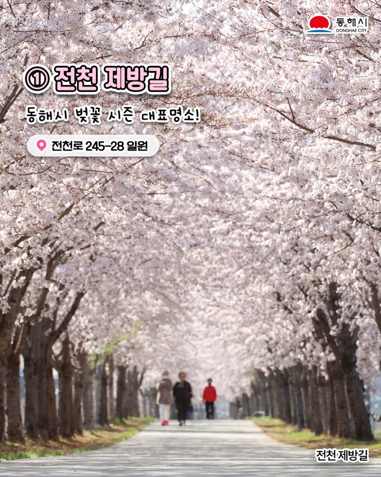꽃길만걸어요 이미지