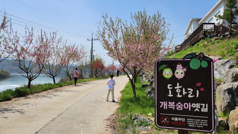 도화리마을 이미지