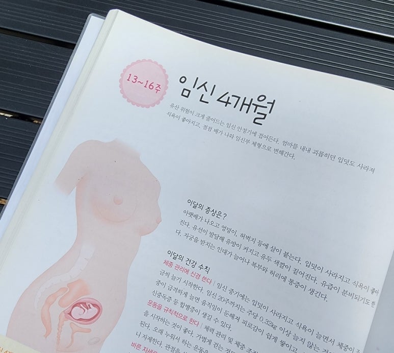 배나온언니# 이미지