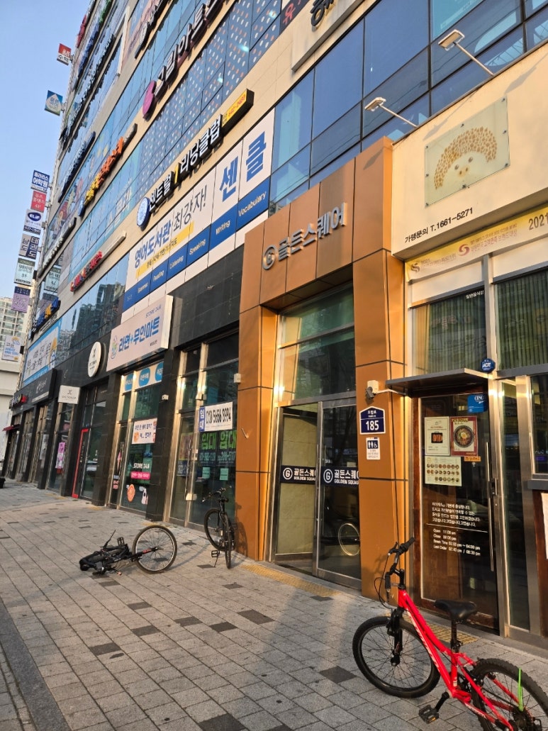 뮤즈폴댄스 이미지