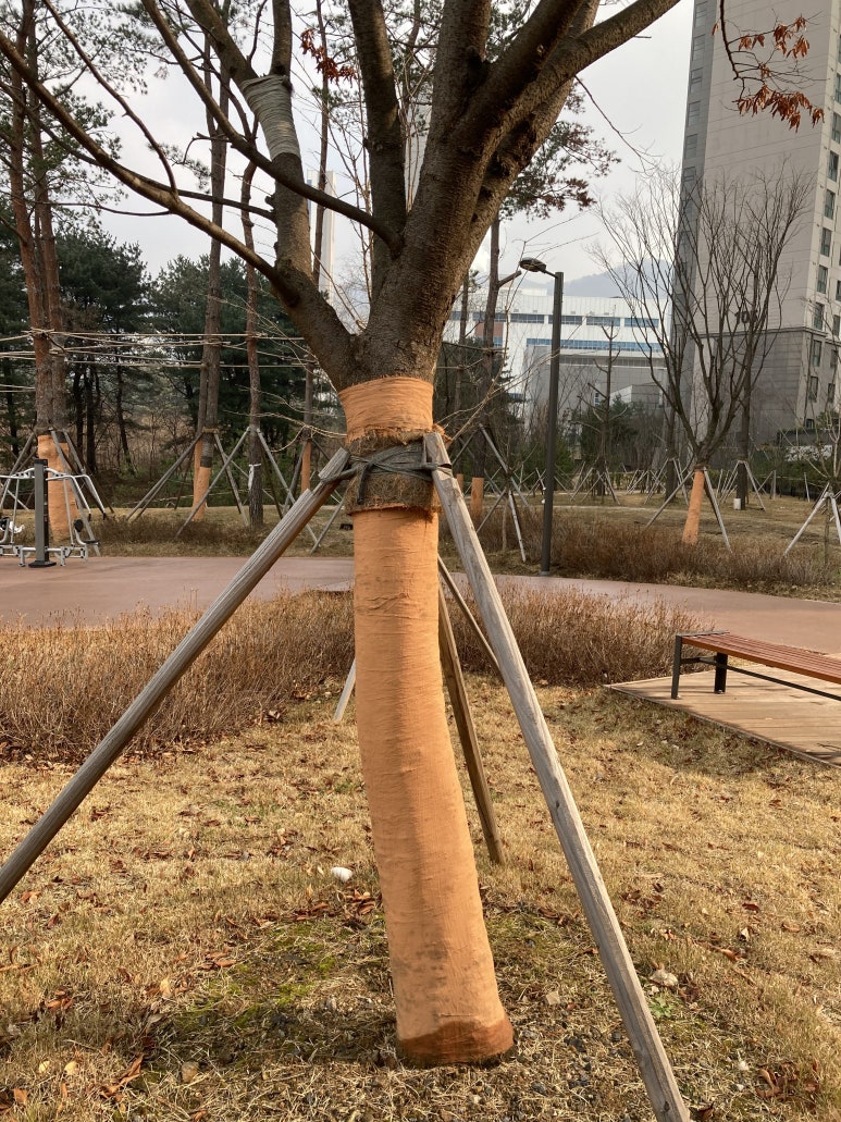 태일조경 이미지