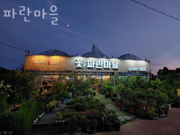 파란마을 이미지