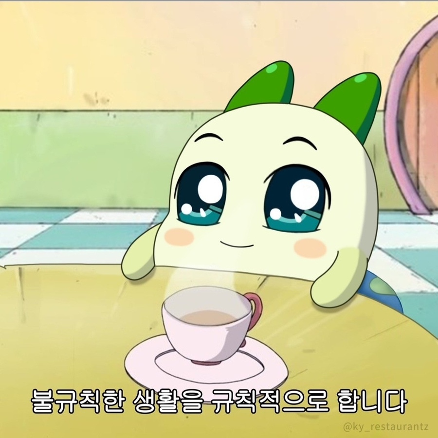 토시리 이미지