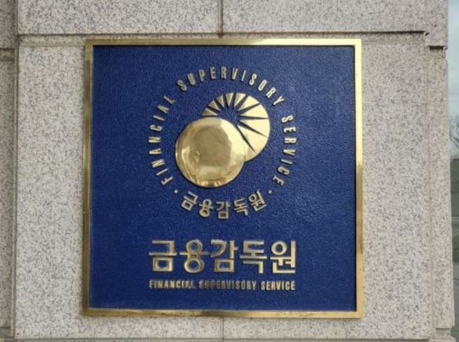 금융감독원 이미지