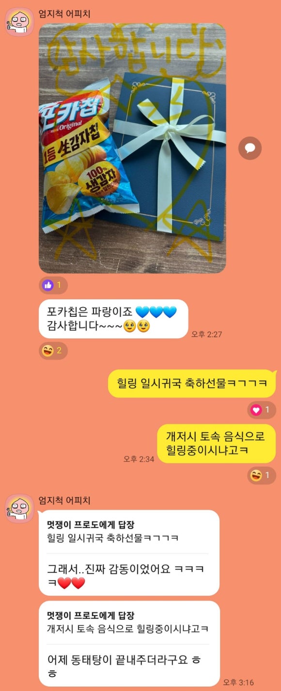 한국사주타로협회 이미지