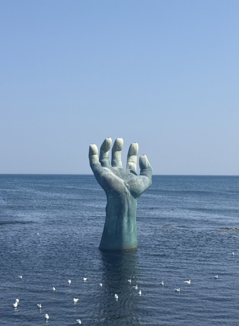 꽃돼지갈매기 이미지