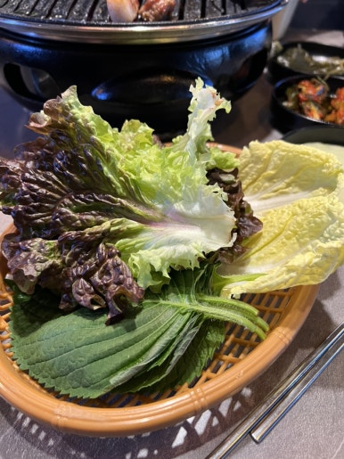엔돌픽 이미지