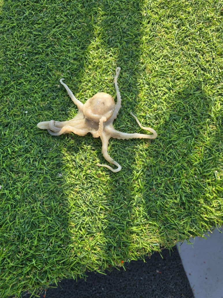 신세계낚시 이미지