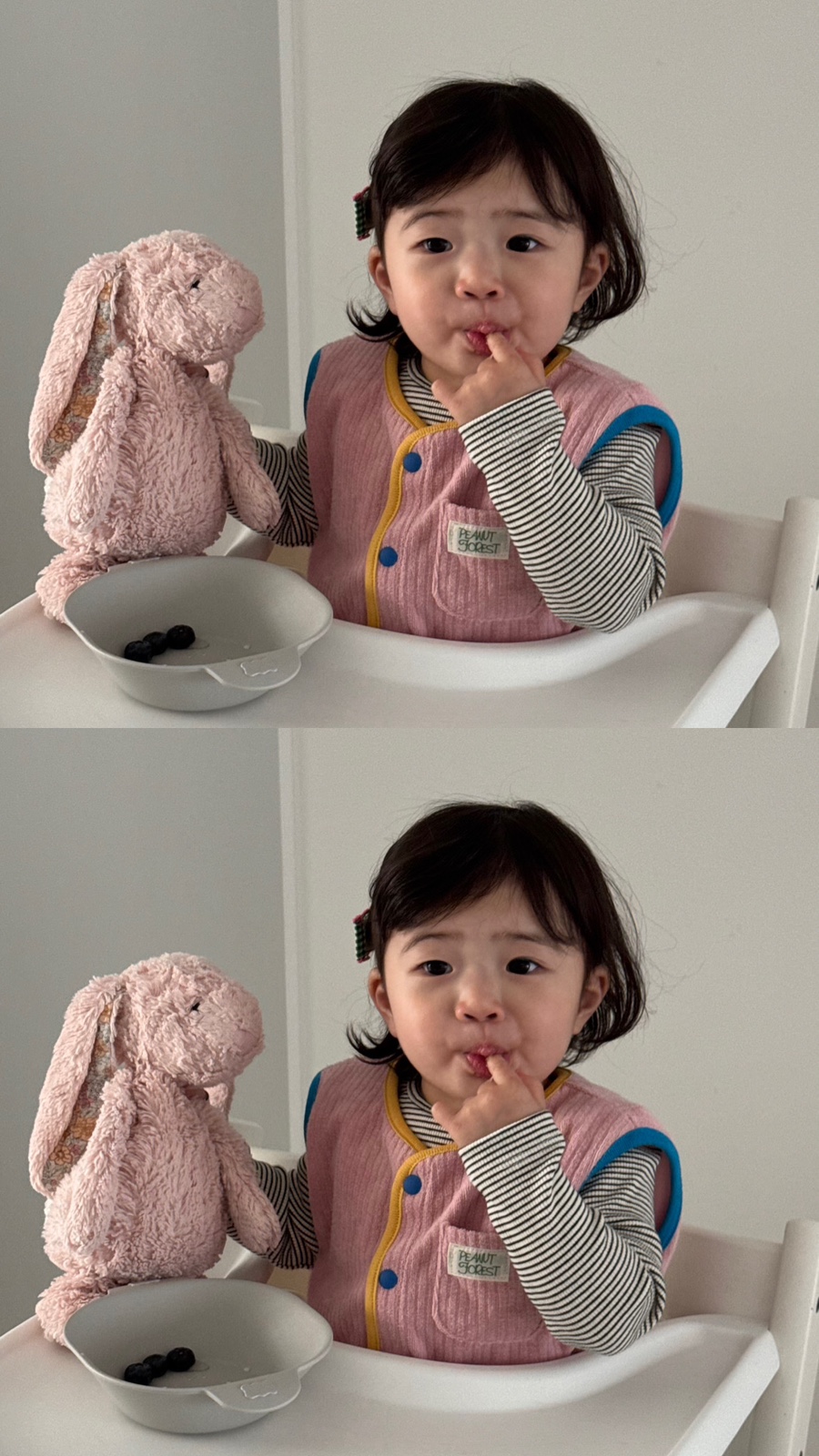 아베끄몽 이미지