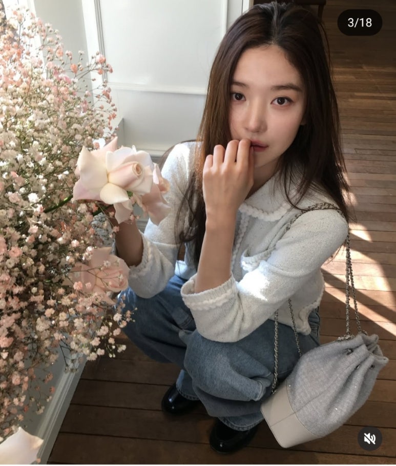 더플랜트 이미지