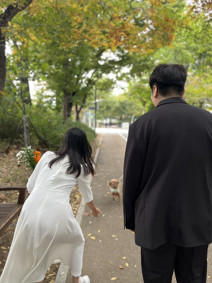 사계절을담다 이미지