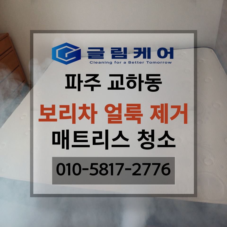 글림케어파주점 이미지