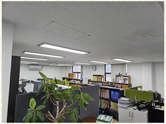 세무법인넥스트 이미지