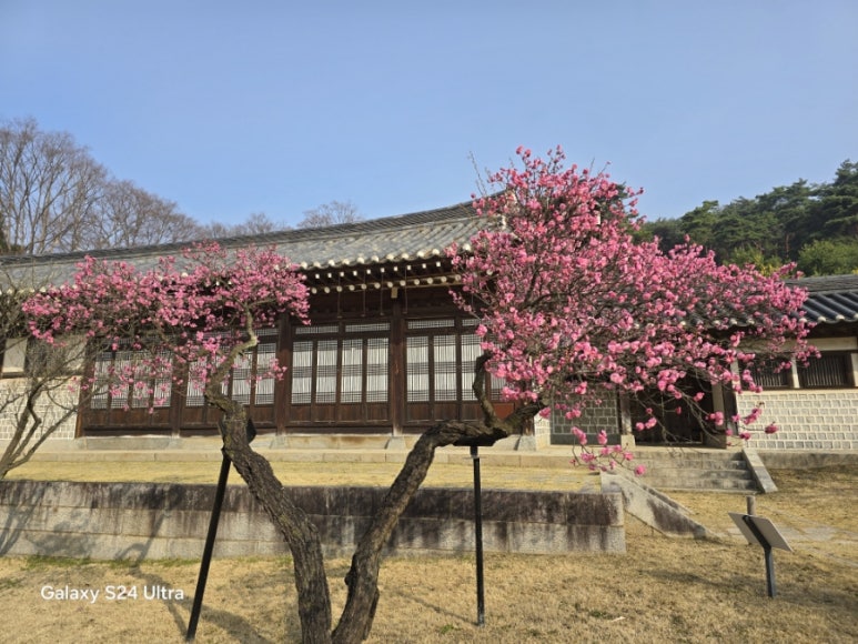 순천자연휴양림 이미지