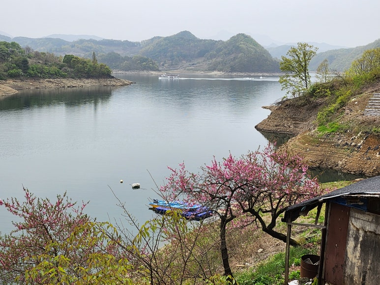 도화리마을 이미지