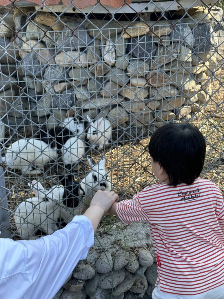 해당1700 이미지