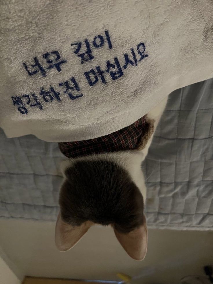 김*희 이미지