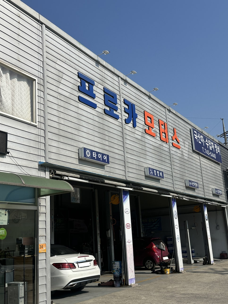 프로카모터스 이미지