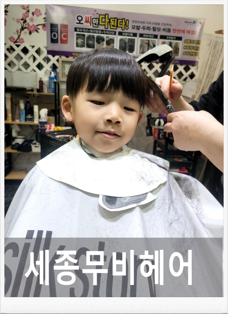 세종 무비헤어 이미지